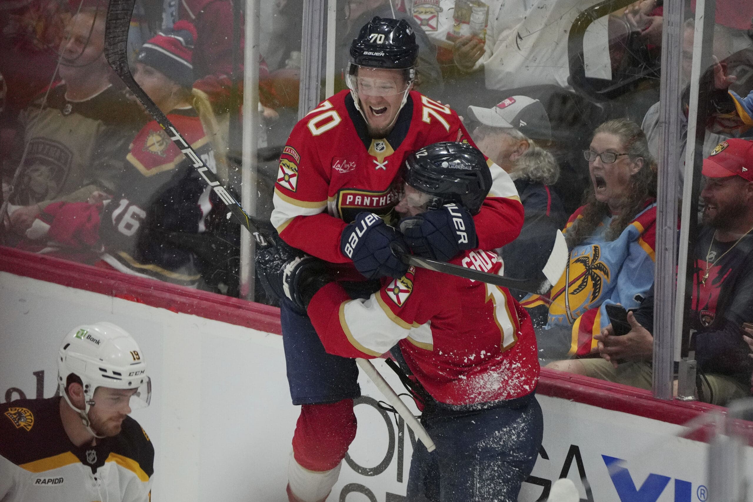 Florida panthers