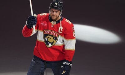 Florida panthers