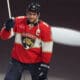 Florida panthers