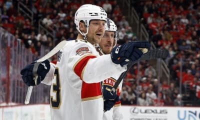 Florida panthers