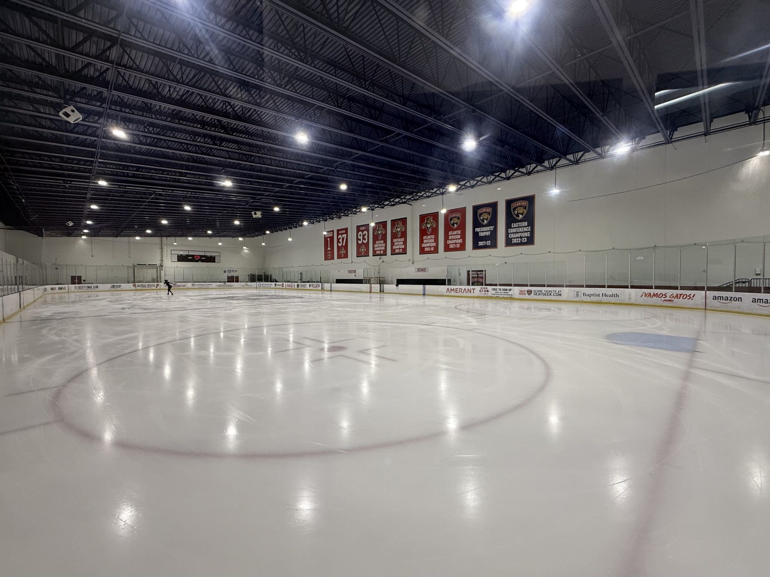 Florida panthers
