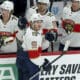 Florida panthers