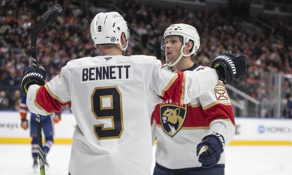 Florida panthers
