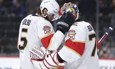 Florida panthers