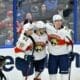 Florida panthers