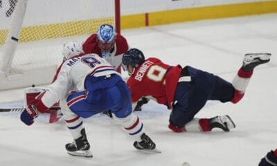 Florida panthers