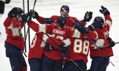 Florida panthers