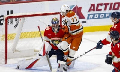 Florida panthers