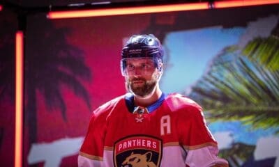 Panthers sharks