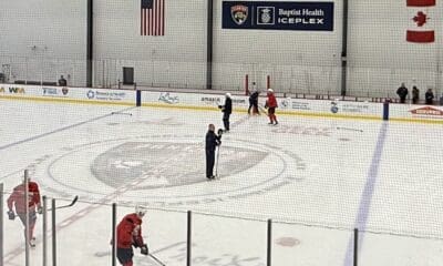 Florida panthers