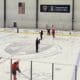 Florida panthers