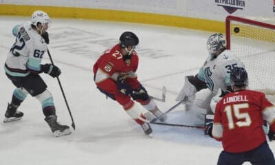 Florida panthers