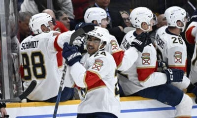 Florida panthers
