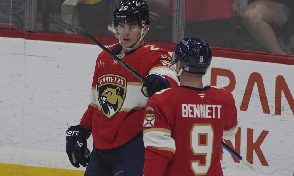 Florida panthers