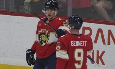 Florida panthers