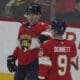 Florida panthers