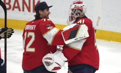 Florida panthers