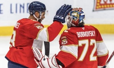 Panthers bruins