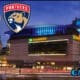 Panthers bruins