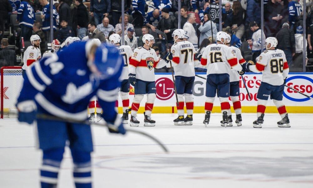Florida panthers