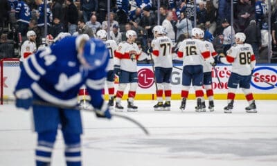 Florida panthers