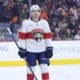 Florida panthers
