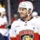Florida panthers