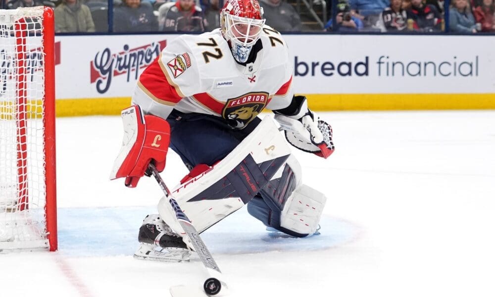 Florida panthers