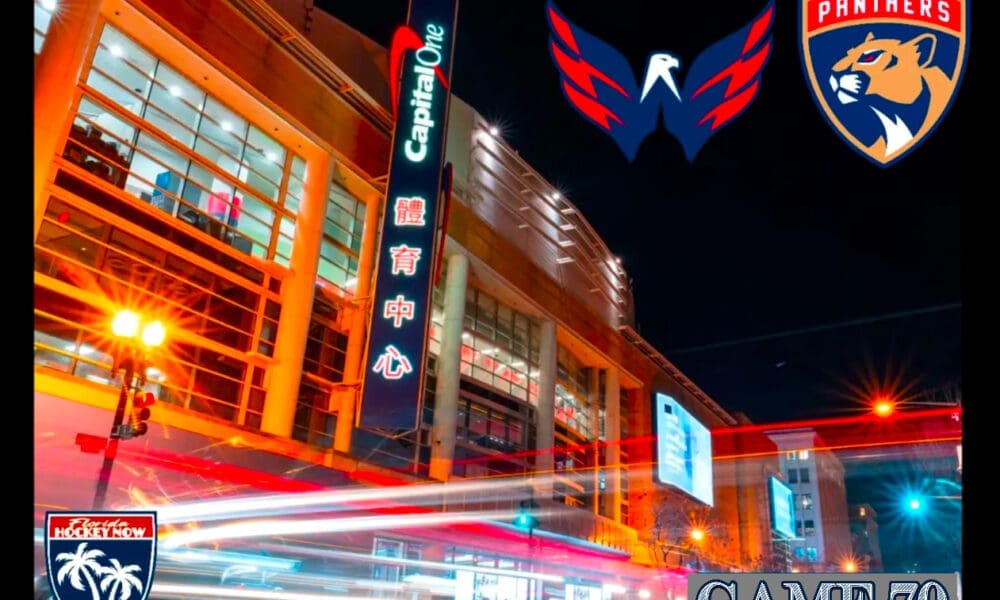Capitals panthers