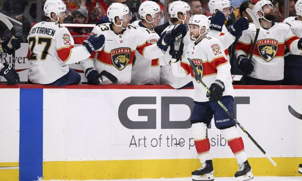 Florida panthers