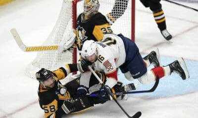 Panthers penguins