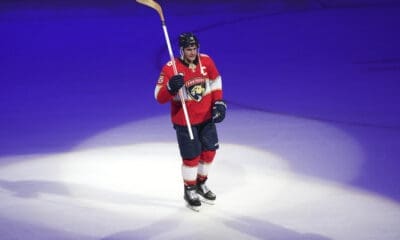 Florida panthers